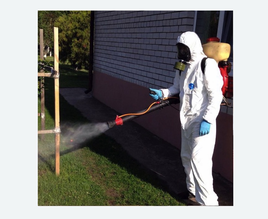 травля клещей на участке в Ковдоре