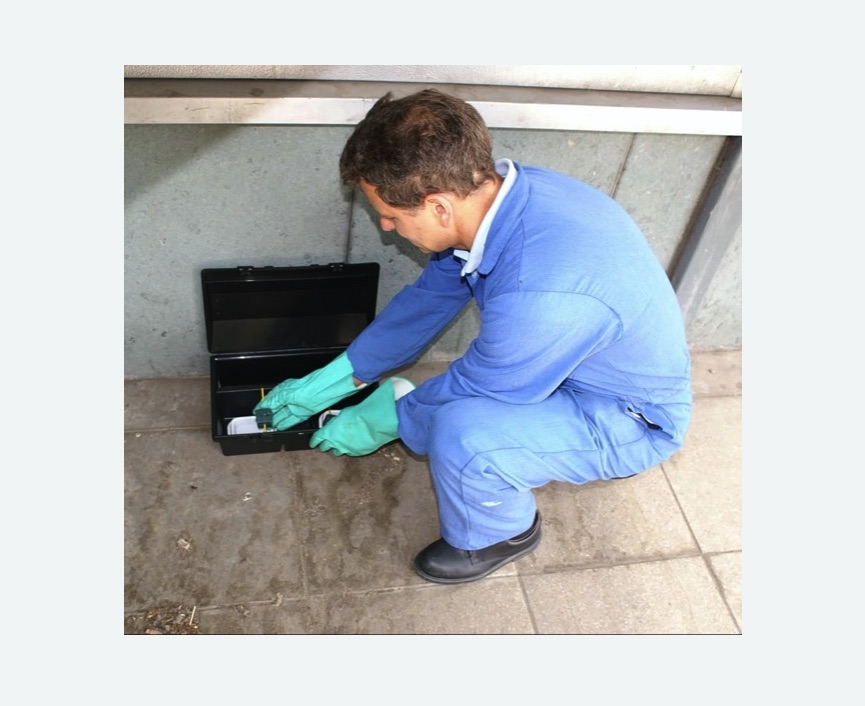 Дератизация помещения в Ковдоре Дератизация помещения