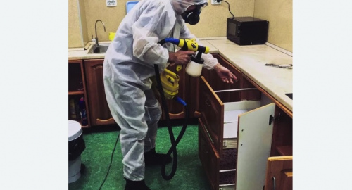 Уничтожение насекомых в квартире. Ковдор