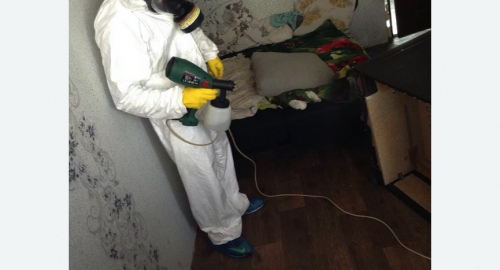 Обработка квартир от насекомых в Ковдоре