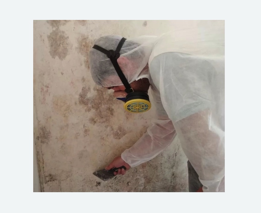Обработка стен от плесени Обработка стен от плесени в Ковдоре