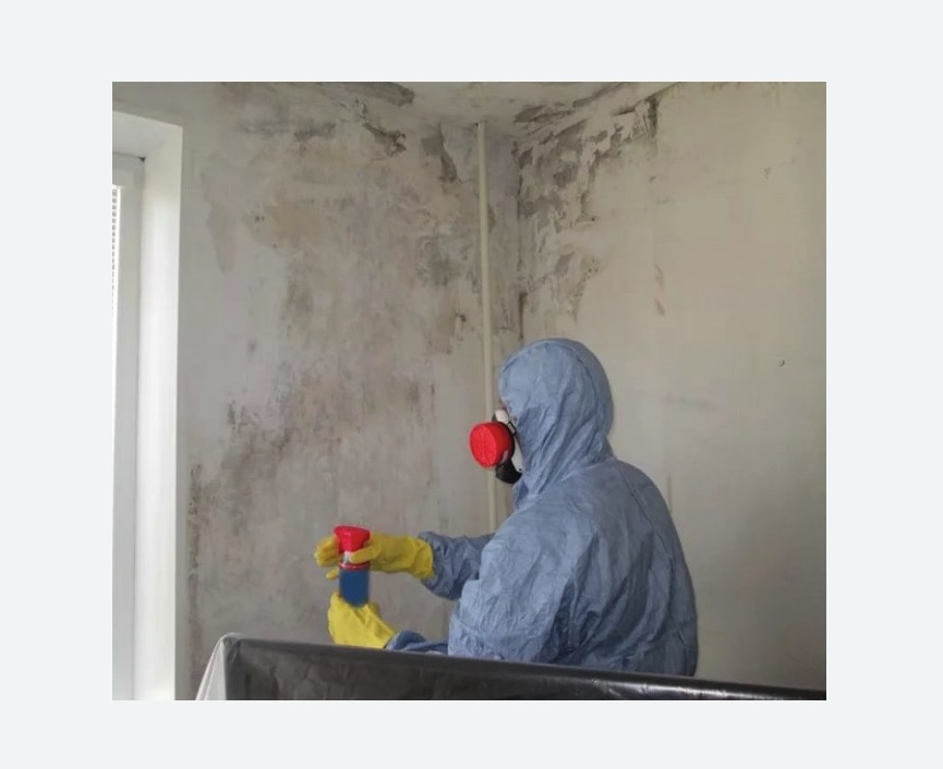 Удаление плесени в квартире Удаление плесени в квартире в Ковдоре