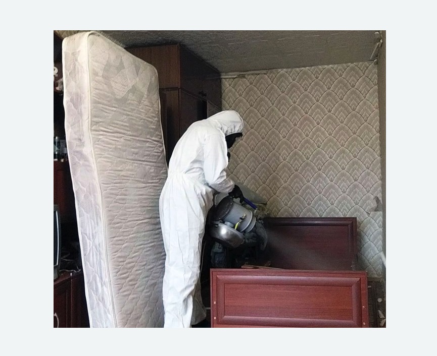 дезинфекция от клопов в Ковдоре