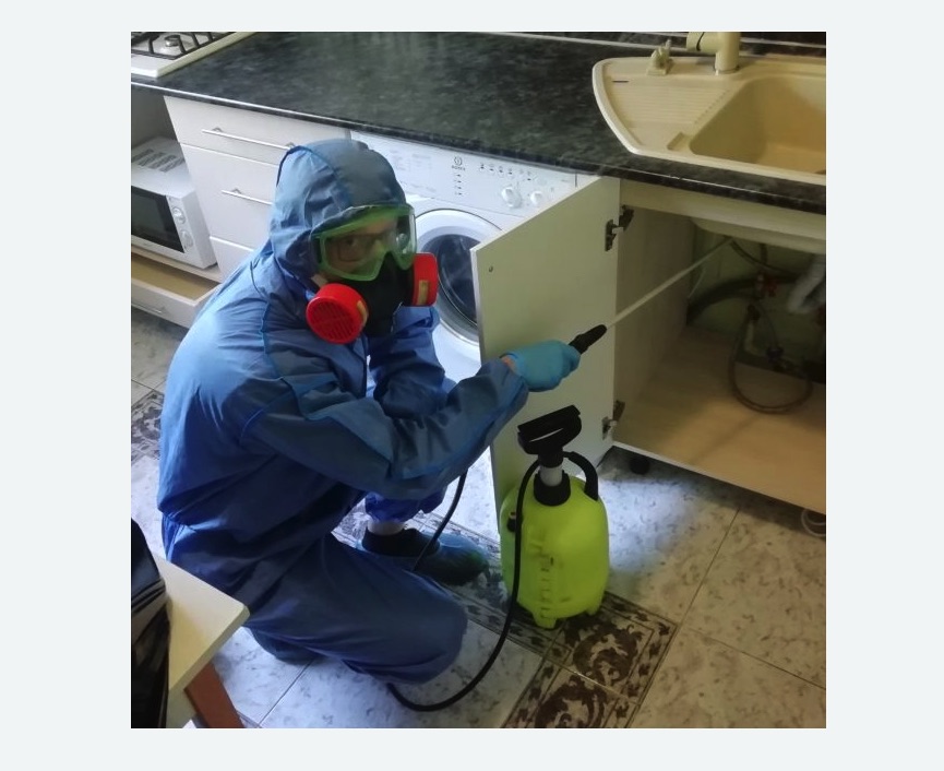 обработка от муравьев в квартире в Ковдоре