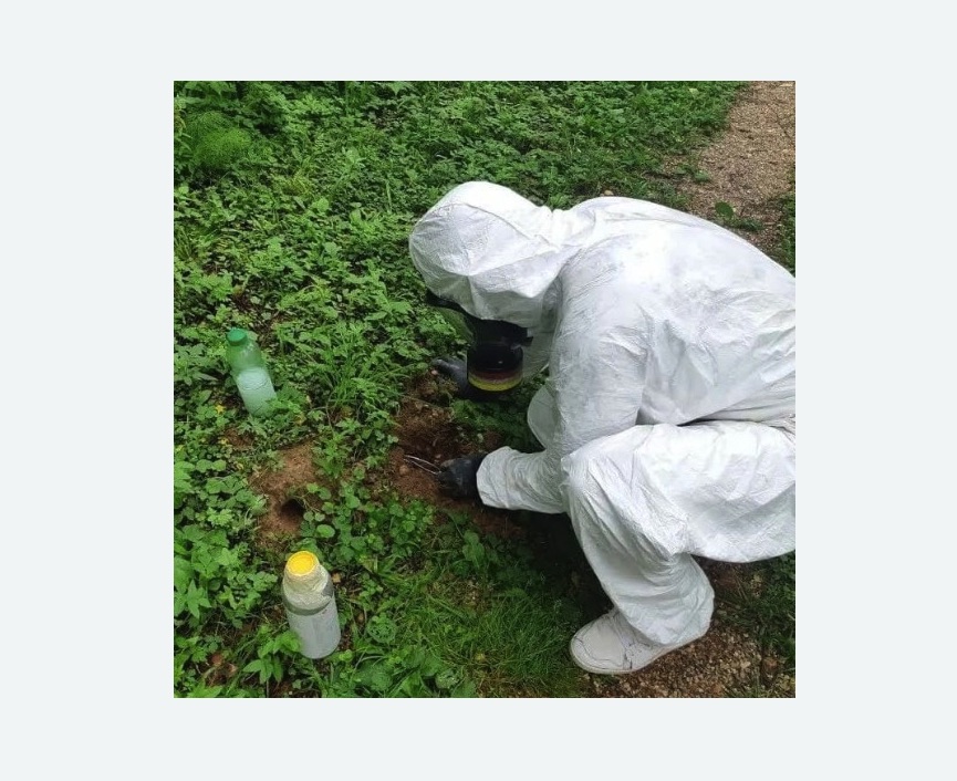 уничтожение кротов на участке в Ковдоре