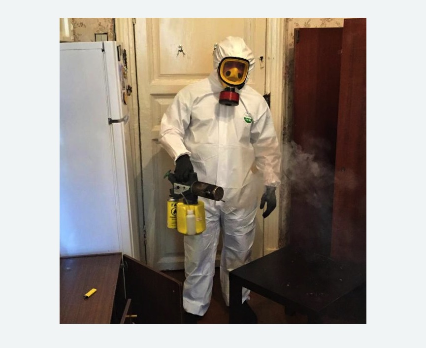 уничтожение муравьев в квартире в Ковдоре